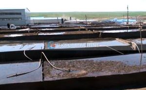 gold Heap leaching