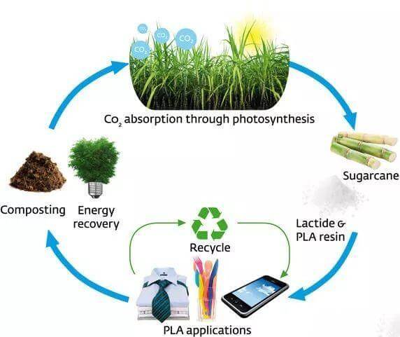 Biodegradable plastics