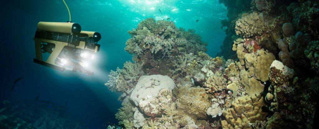 minería de aguas profundas