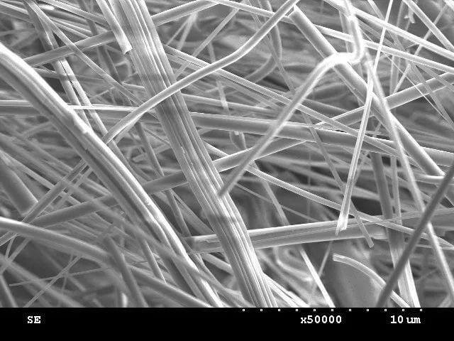 cellulose nanocristalline