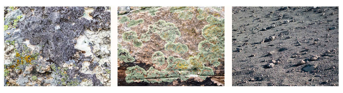 Mongolia Tungsten