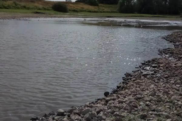 Coastal Placer Gold Deposits