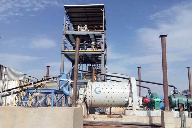 mineral plant